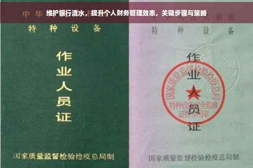 维护银行流水，提升个人财务管理效率，关键步骤与策略