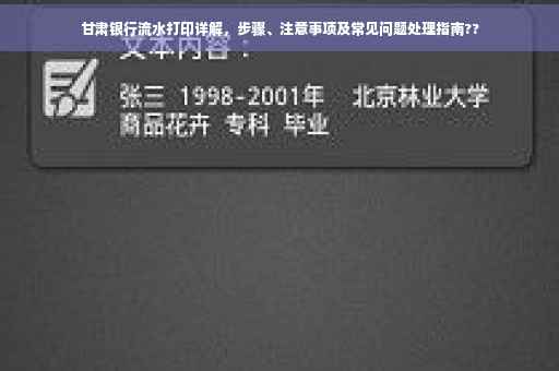 甘肃银行流水打印详解，步骤、注意事项及常见问题处理指南??