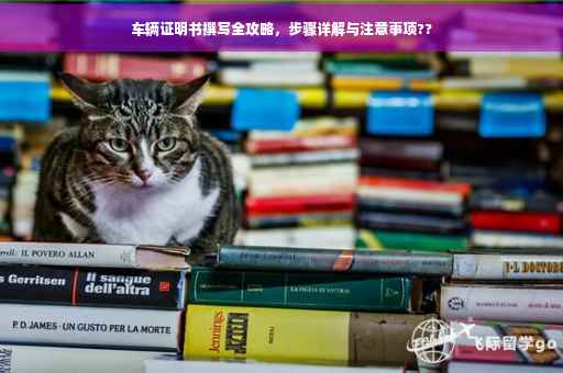 车辆证明书撰写全攻略，步骤详解与注意事项??