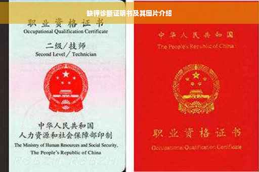 缺钾诊断证明书及其图片介绍