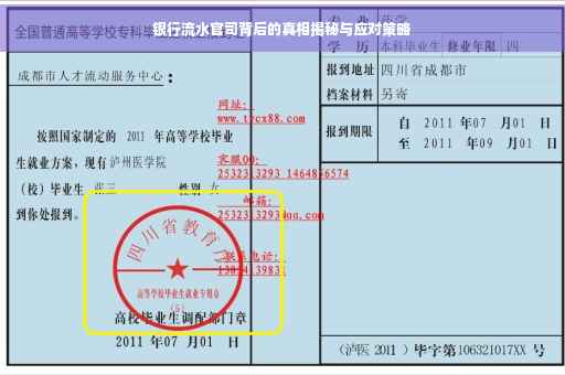 银行流水官司背后的真相揭秘与应对策略