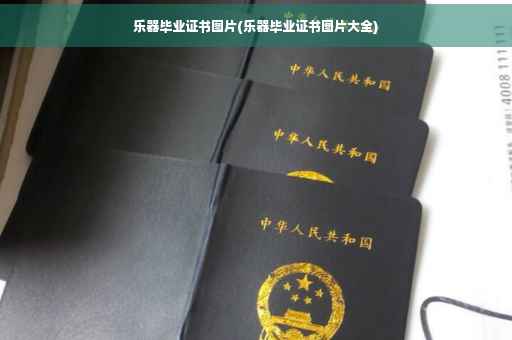 乐器毕业证书图片(乐器毕业证书图片大全)