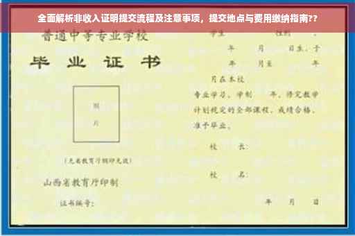 全面解析非收入证明提交流程及注意事项，提交地点与费用缴纳指南??