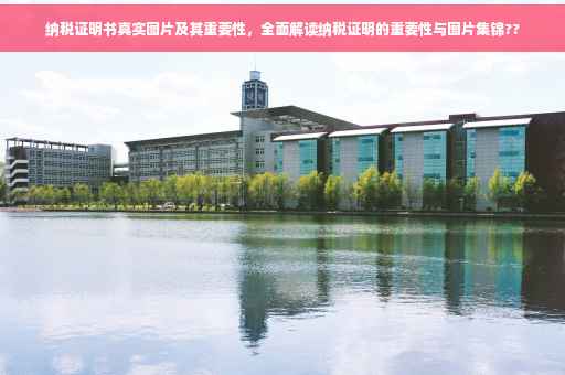 纳税证明书真实图片及其重要性，全面解读纳税证明的重要性与图片集锦??