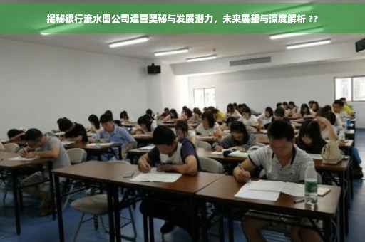 揭秘银行流水图公司运营奥秘与发展潜力，未来展望与深度解析 ??