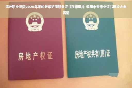 滨州职业学院2020年考的老年护理职业证书在哪里找-滨州中专毕业证书图片大全高清