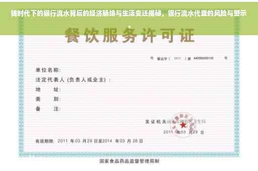 钱时代下的银行流水背后的经济脉络与生活变迁揭秘，银行流水代查的风险与警示。