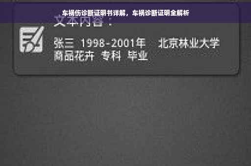 车祸伤诊断证明书详解，车祸诊断证明全解析