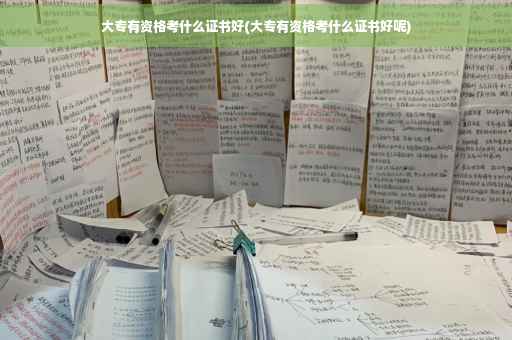 大专有资格考什么证书好(大专有资格考什么证书好呢)