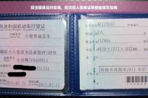 经济困境应对指南，经济收入困难证明模板撰写指南