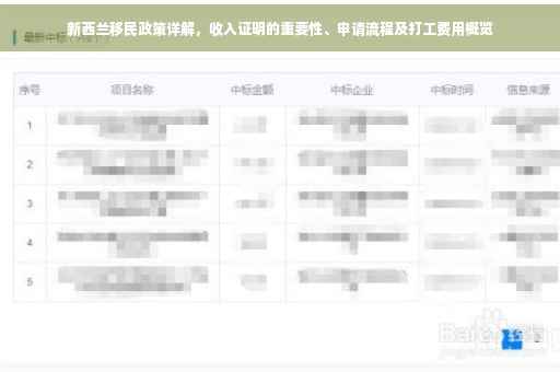 新西兰移民政策详解，收入证明的重要性、申请流程及打工费用概览