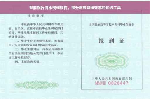 智能银行流水梳理软件，提升财务管理效率的优选工具
