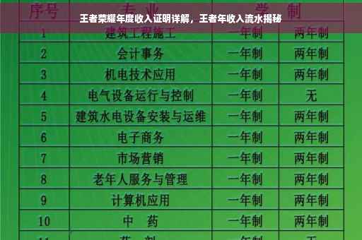 王者荣耀年度收入证明详解，王者年收入流水揭秘