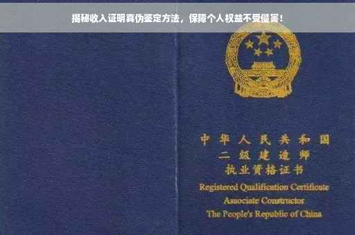 揭秘收入证明真伪鉴定方法，保障个人权益不受侵害！