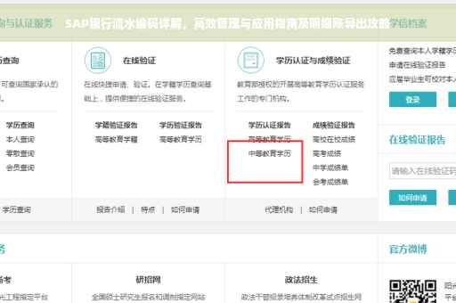 SAP银行流水编码详解，高效管理与应用指南及明细账导出攻略