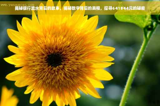 揭秘银行流水背后的故事，揭秘数字背后的真相，探寻641844元的秘密