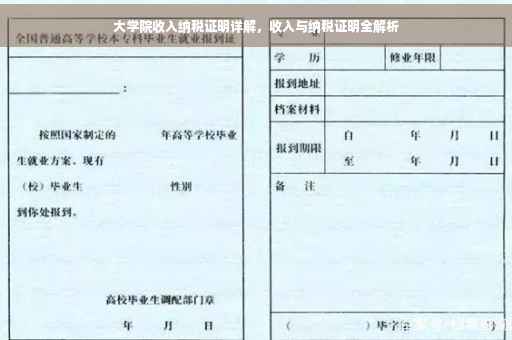 大学院收入纳税证明详解，收入与纳税证明全解析