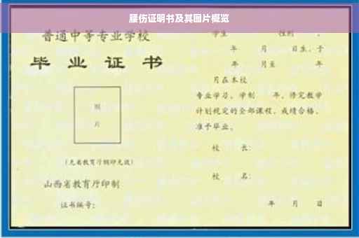 腰伤证明书及其图片概览