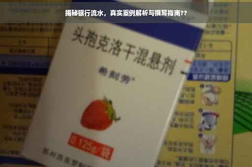 揭秘银行流水，真实案例解析与撰写指南??