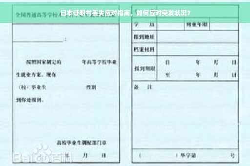 日本证明书丢失应对指南，如何应对突发状况？