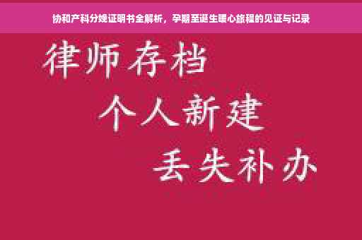 协和产科分娩证明书全解析，孕期至诞生暖心旅程的见证与记录