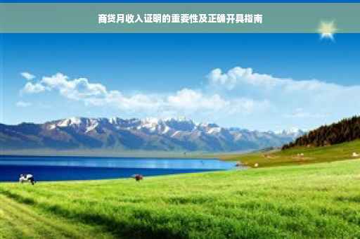 商贷月收入证明的重要性及正确开具指南
