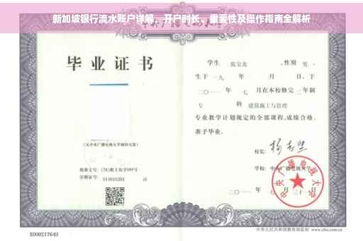 新加坡银行流水账户详解，开户时长、重要性及操作指南全解析