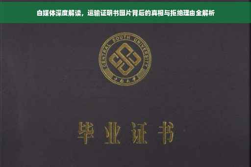 自媒体深度解读，运输证明书图片背后的真相与拒绝理由全解析