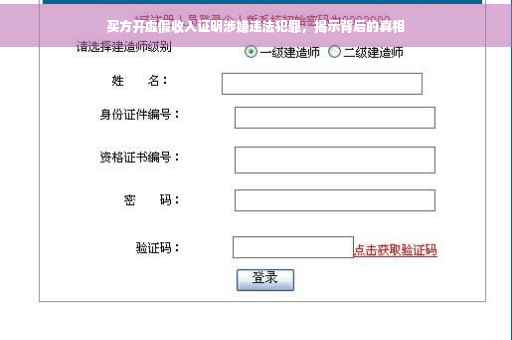 买方开虚假收入证明涉嫌违法犯罪，揭示背后的真相