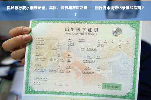 揭秘银行流水调查记录，真相、细节与应对之道——银行流水调查记录撰写指南 ??