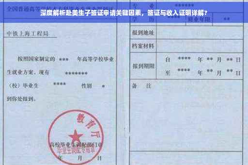 深度解析赴美生子签证申请关键因素，签证与收入证明详解?