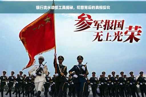 银行流水造假工具揭秘，犯罪背后的真相探究