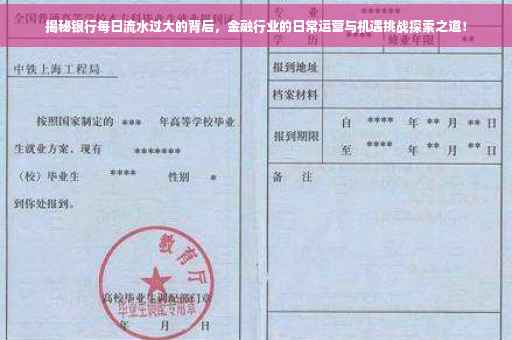 揭秘银行每日流水过大的背后，金融行业的日常运营与机遇挑战探索之道！