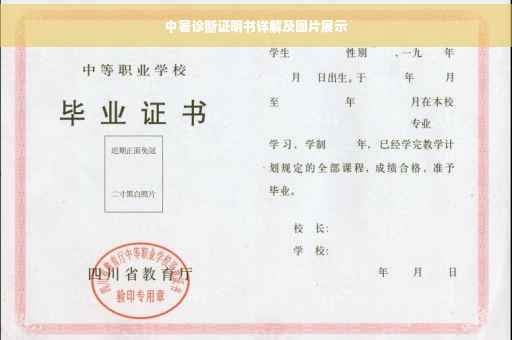 中暑诊断证明书详解及图片展示