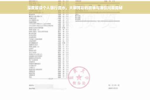 深度解读个人银行流水，大额背后的故事与潜在问题揭秘