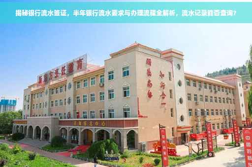 揭秘银行流水签证，半年银行流水要求与办理流程全解析，流水记录能否查询？
