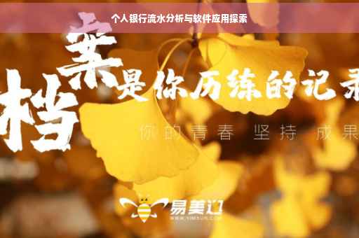 个人银行流水分析与软件应用探索