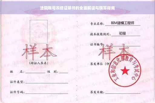 法院账号冻结证明书的全面解读与撰写指南