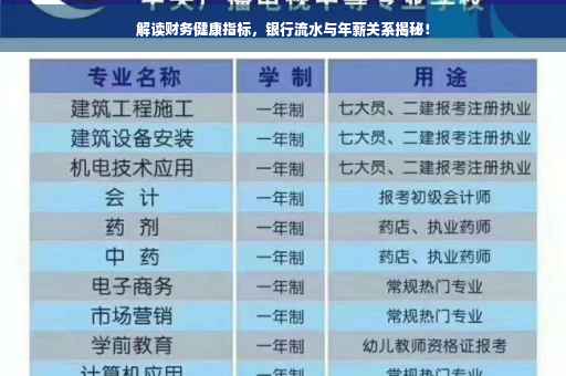 解读财务健康指标，银行流水与年薪关系揭秘！