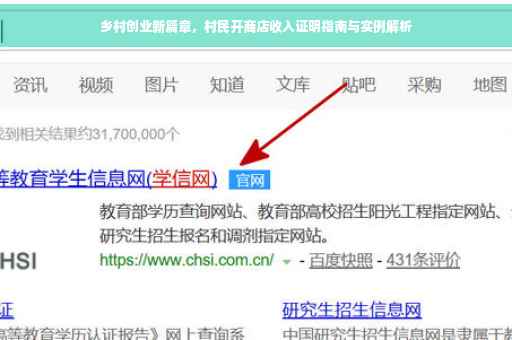 乡村创业新篇章，村民开商店收入证明指南与实例解析