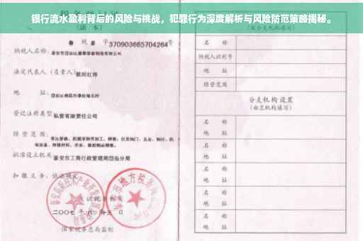 银行流水盈利背后的风险与挑战，犯罪行为深度解析与风险防范策略揭秘。