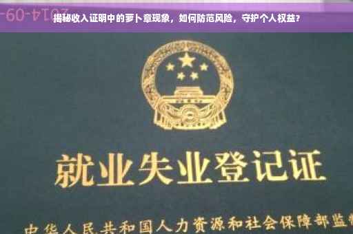 揭秘收入证明中的萝卜章现象，如何防范风险，守护个人权益？