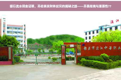 银行流水现金证明，开启真实财务状况的揭秘之旅——开具指南与重要性??
