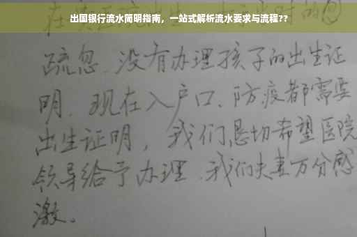 出国银行流水简明指南，一站式解析流水要求与流程??