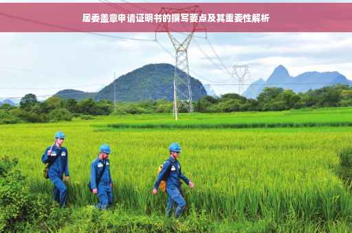 居委盖章申请证明书的撰写要点及其重要性解析
