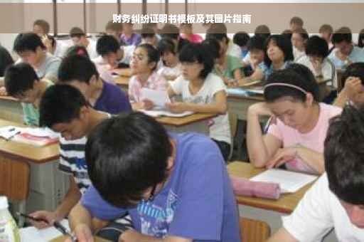 财务纠纷证明书模板及其图片指南