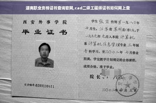 湖南职业资格证书查询官网,cad二级工程师证书如何网上查