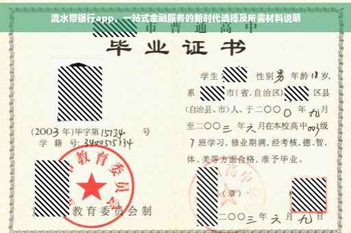 流水带银行app，一站式金融服务的新时代选择及所需材料说明