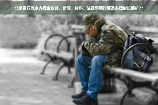北京银行流水办理全攻略，步骤、材料、注意事项详解及办理时长解析??