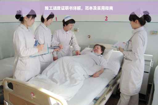 施工进度证明书详解，范本及实用指南